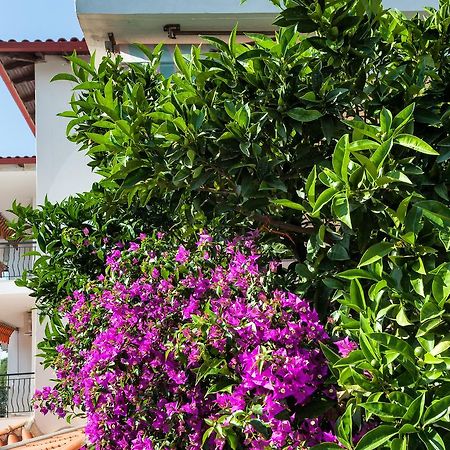 Xenios Loutra Village Mary'S House 圣帕拉斯凯维 外观 照片