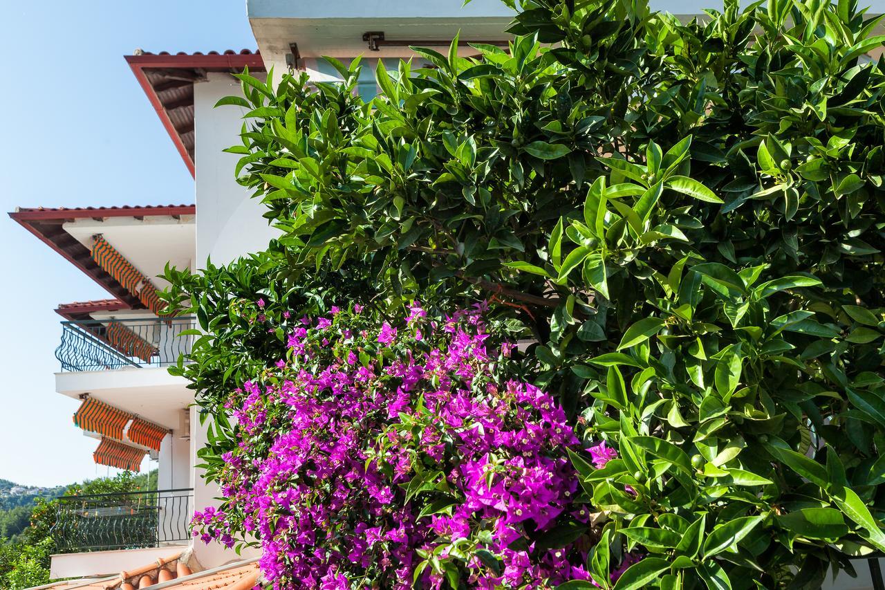Xenios Loutra Village Mary'S House 圣帕拉斯凯维 外观 照片